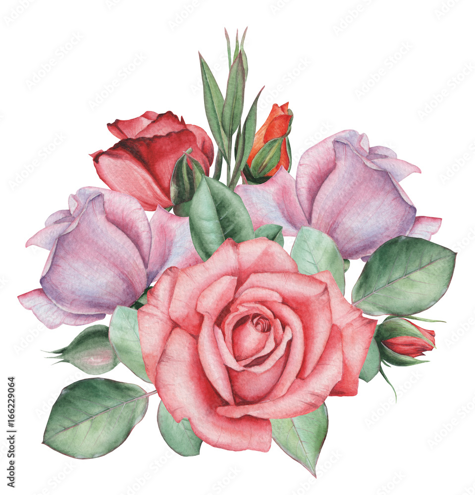 Naklejka premium Hand painted watercolor charming combination of Flowers and Leaves, isolated on white background