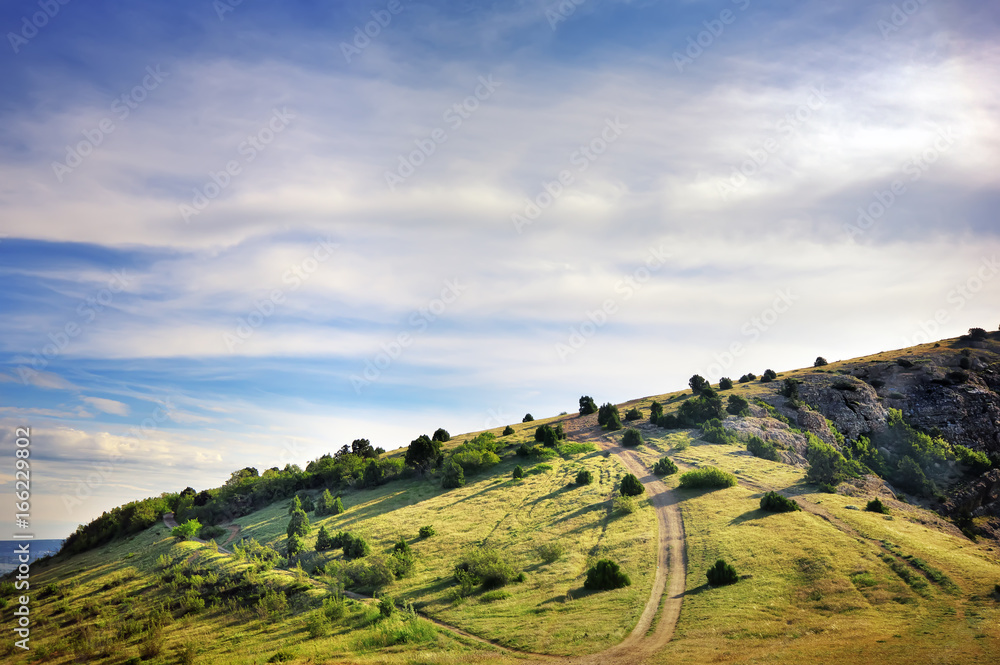 Spring green hill. Nature composition