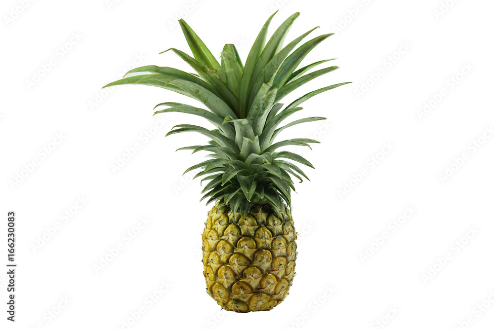 Pineapple isolated on white background Pineapple isolated on white background