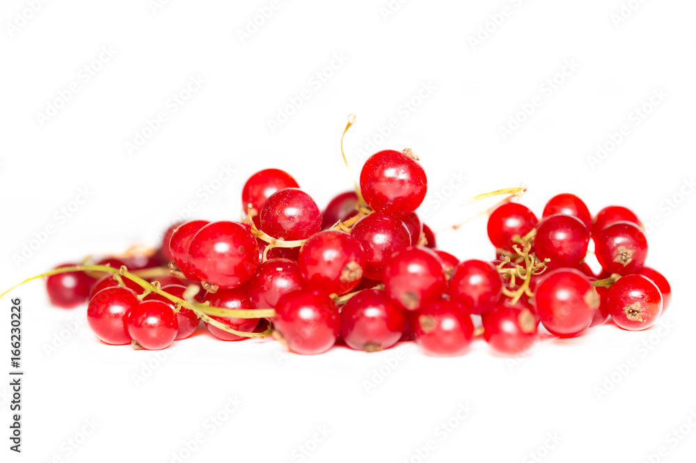 Red currants Red currants