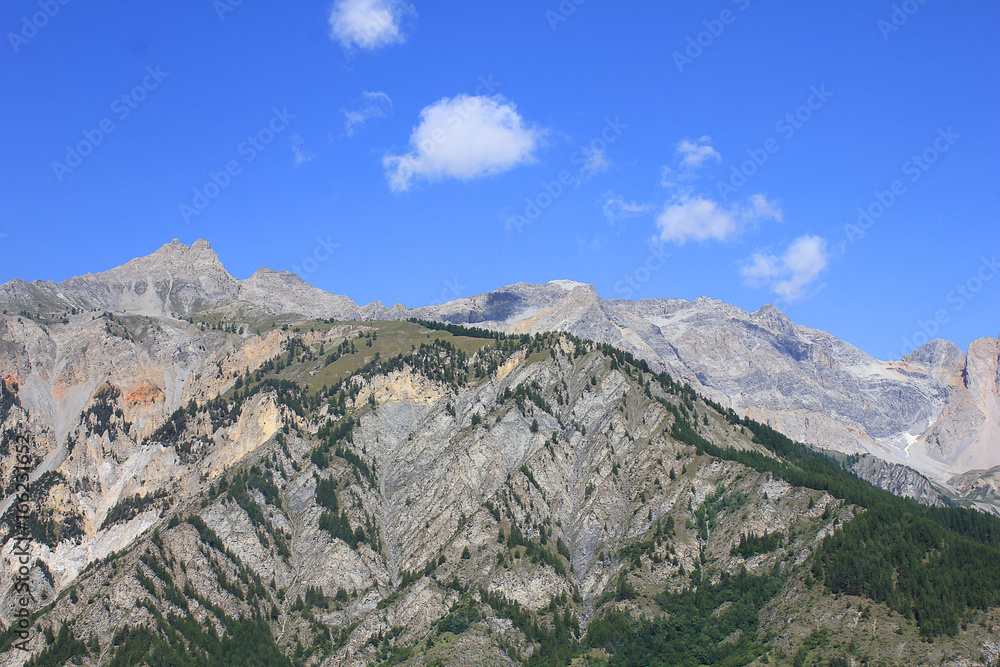 landscape of mountains in summer