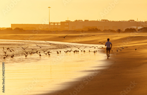 Running with Seagulls at Sunset in Cabedelo Beach, Viana do Castelo, Portugal.