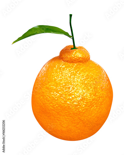 Fresh Dekopon orange. Foods and Dishes Series.