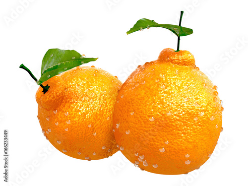 Two Dekopon oranges covered with Raindrops. Foods and Dishes Series.
