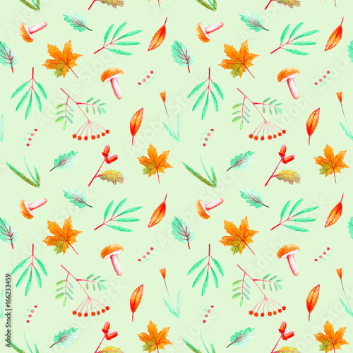 Seamless pattern of a flower  plants  rowan acorn maple and mushroom. Autumn and herbs image. Watercolor and pencil color hand drawn illustration.Green background.