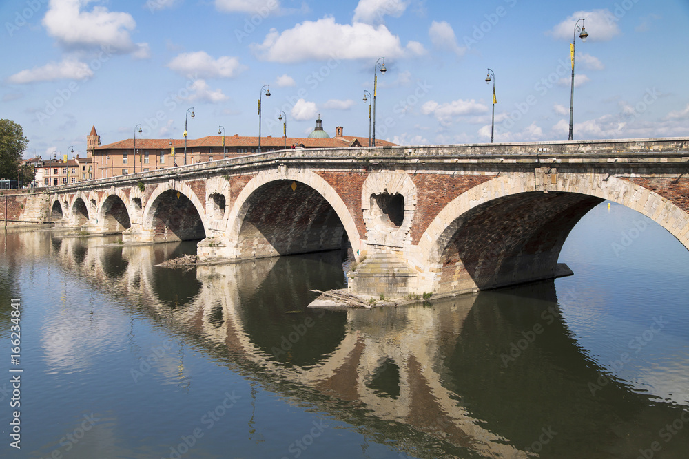 Naklejka premium Pont Neuf of Toulouse