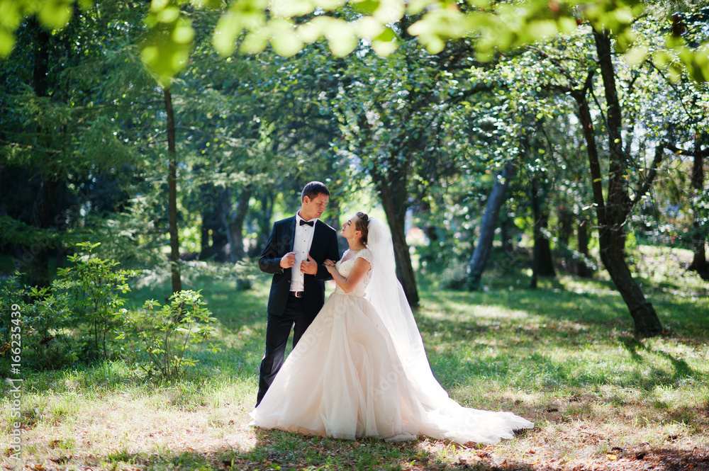 Absolutely stunning young wedding couple walking and posing in the forest. Absolutely stunning young wedding couple walking and posing in the forest.
