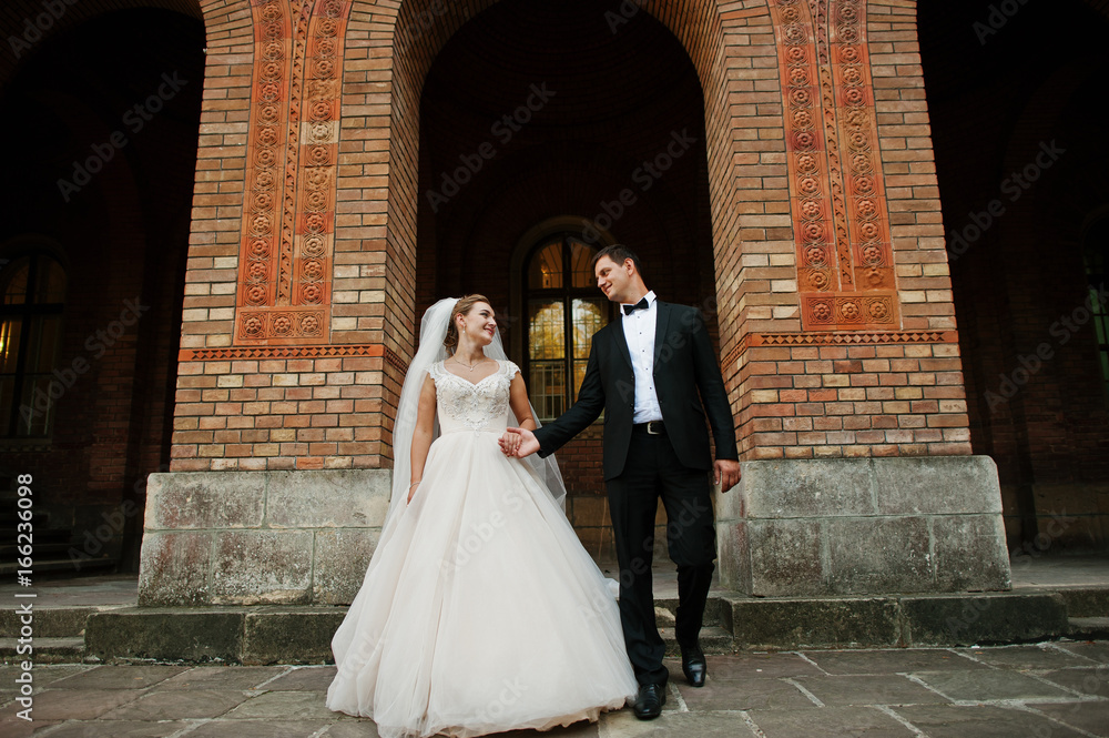 Stunning wedding couple enjoying each other's company on a beautiful architectural background. Stunning wedding couple enjoying each other's company on a beautiful architectural background.