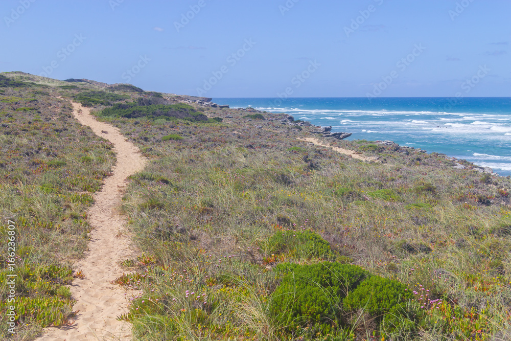 Trails in Queimado beach,  Vila Nova de Milfontes