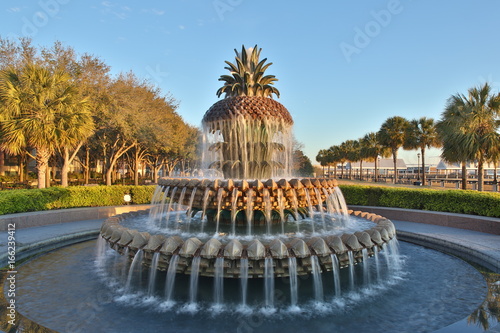 Pineapple Themed Water Fountain at tropical beach with palm trees at sunset