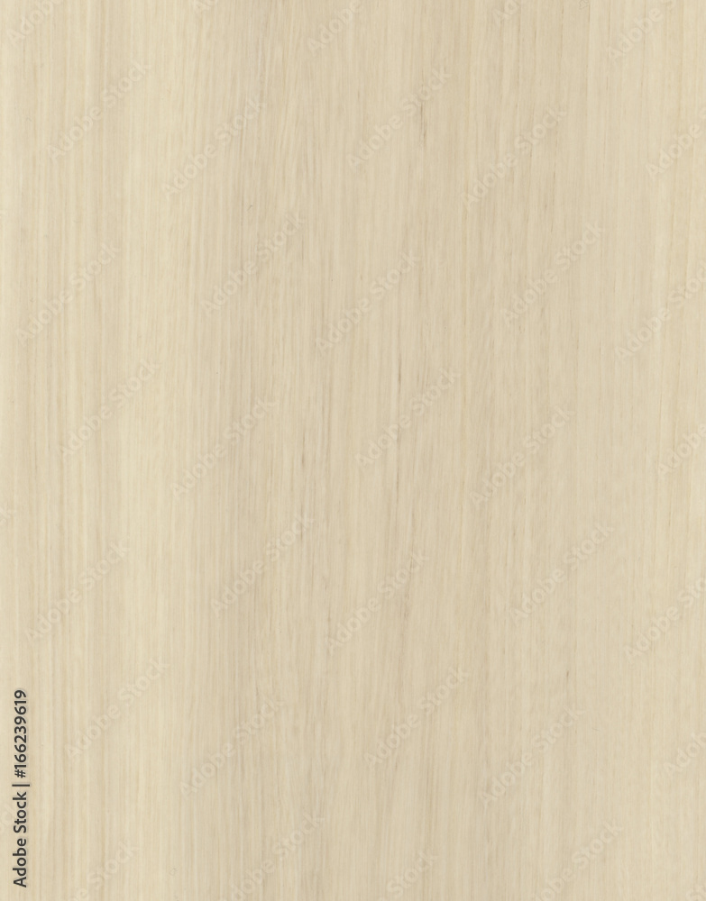 Naklejka premium White Textured Elmwood Wall Ceiling Floor Panel