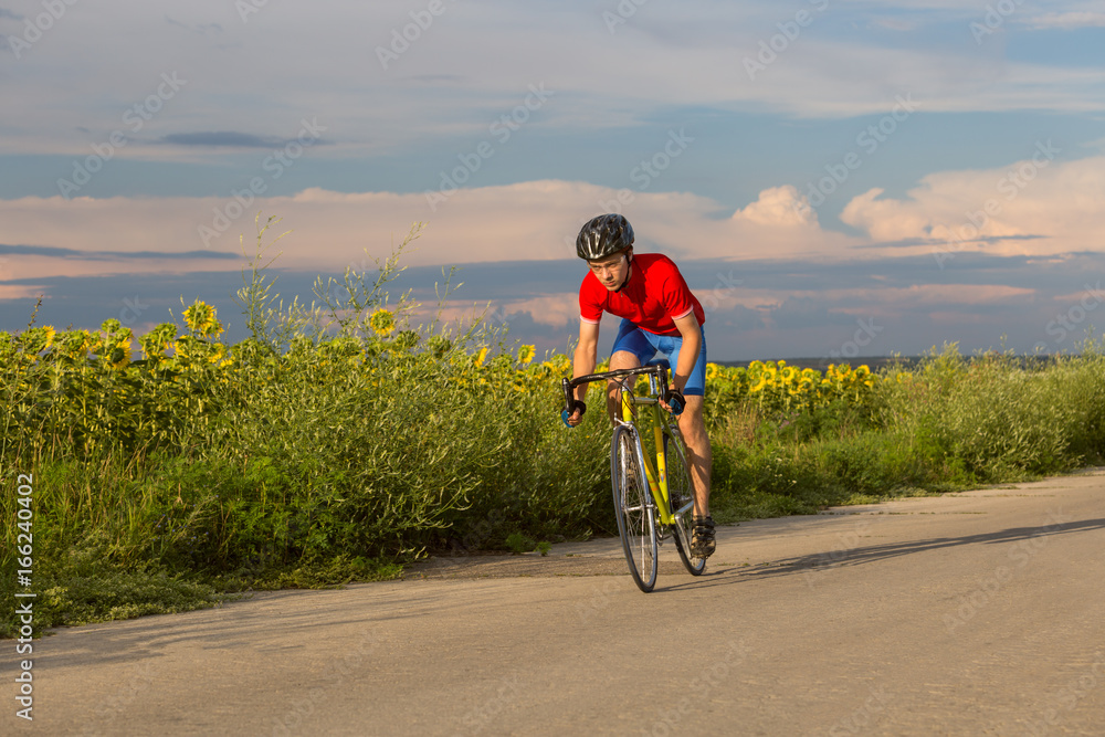 A cyclist rides on a road bike along fields of sunflowers.