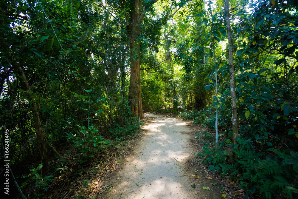 Fototapeta premium Kuang Si waterfall Luang Prabang