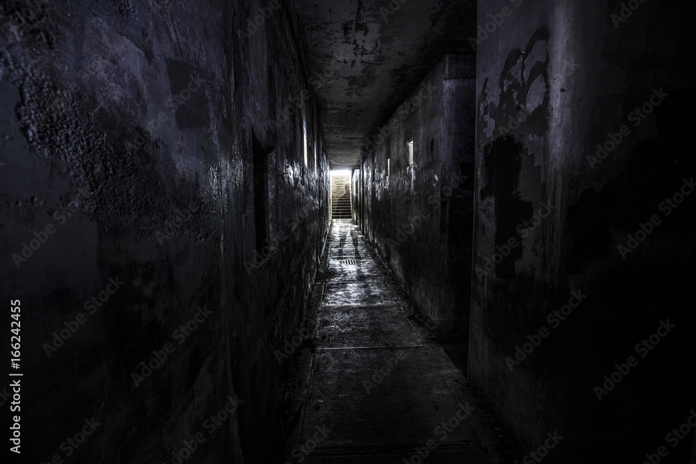 ghostly person standing in a dark hallway of an abandoned building ghostly person standing in a dark hallway of an abandoned building