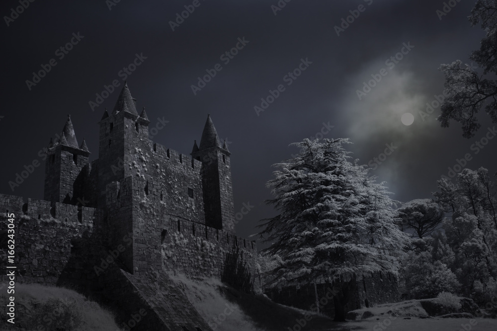 Naklejka premium Old castle in a full moon night
