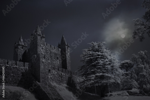 Old castle in a full moon night