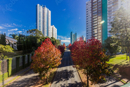 Curitiba, Brazil - Amazing autumn in south of Brazil. Building architecture in the city. photo