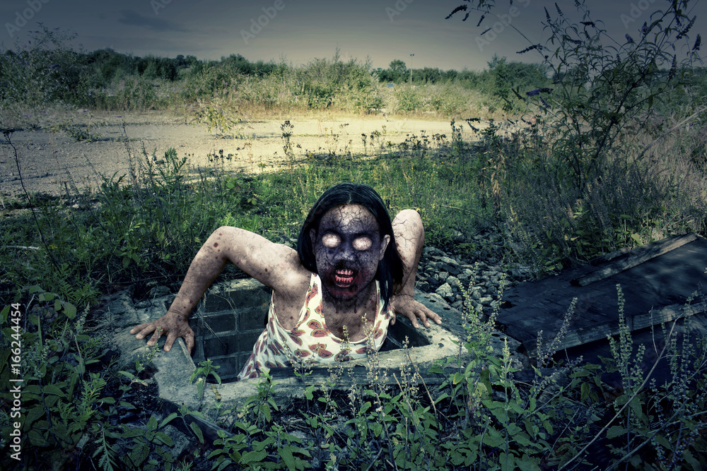 Evil Zombie Monster Evil Zombie Monster
