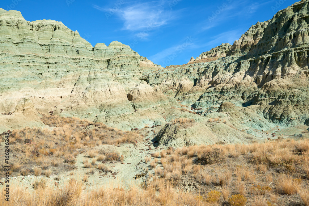 Surrealistic landscape in John Day Fossil Beds National Monument Blue Basin area with grey-blue badlands. A branched ravine and Heavily eroded formations.