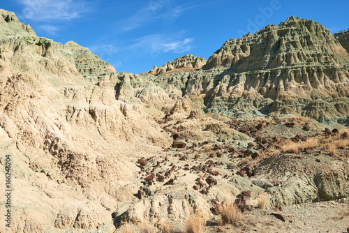 Surrealistic landscape in John Day Fossil Beds National Monument Blue Basin area with grey-blue badlands. A branched ravine and Heavily eroded formations.