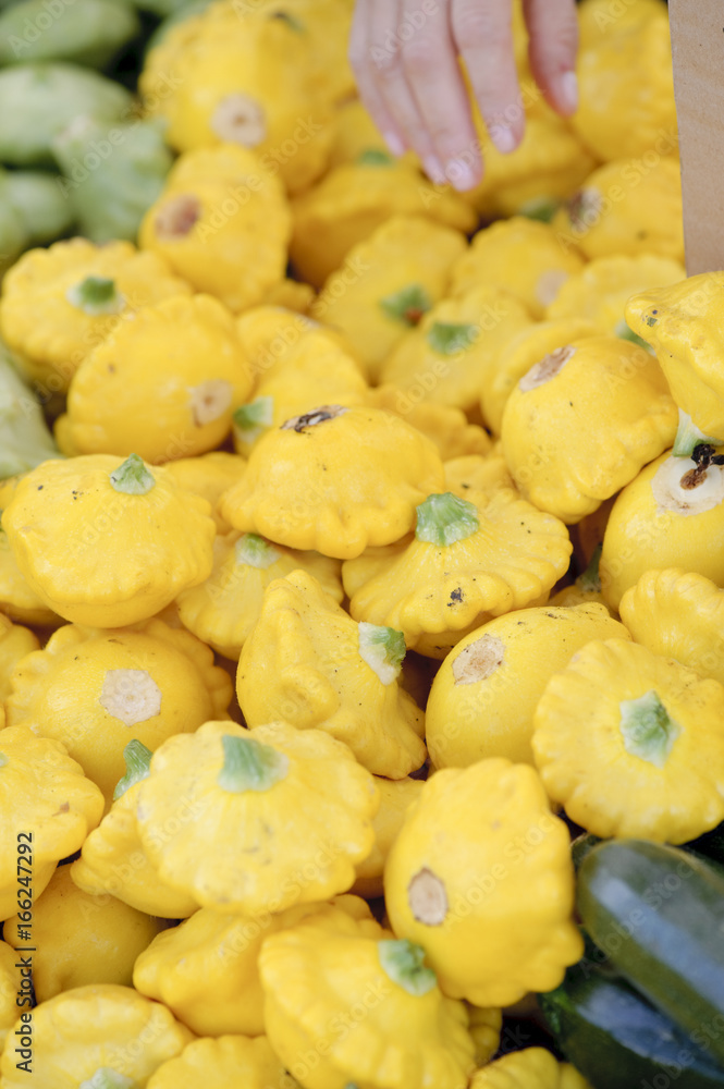 fresh button squash fresh button squash
