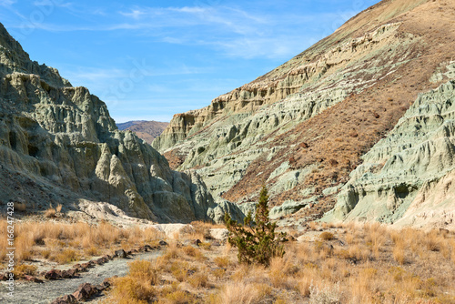 Surrealistic landscape in John Day Fossil Beds National Monument Blue Basin area with grey-blue badlands. A branched ravine and Heavily eroded formations. © thecolorpixels