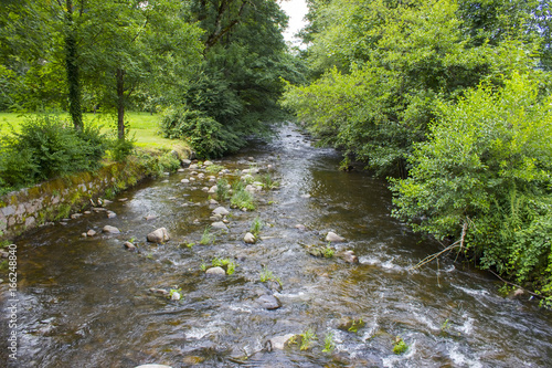 Gutach river in Black Forest, Germany photo