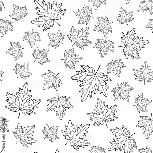 Maple leaf contour seamless pattern