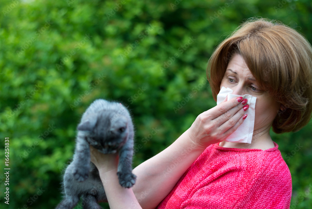 woman with allergies to a cat woman with allergies to a cat