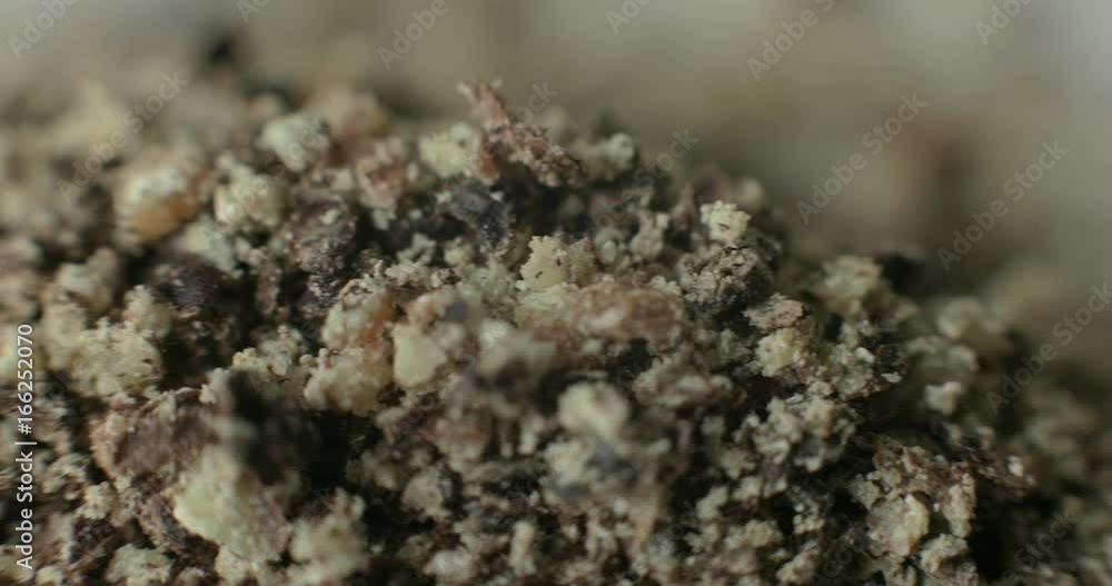 Ground black pepper on a white plate, macro detail of the spice for using in healthy cooking. Ground black pepper on a white plate, macro detail of the spice for using in healthy cooking.