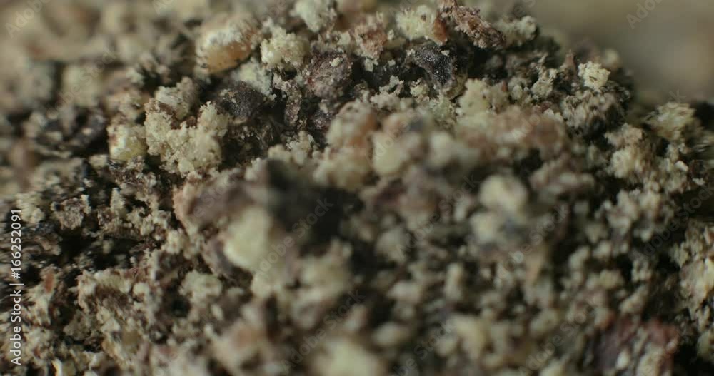 Ground black pepper on a white plate, macro detail of the spice for using in healthy cooking. Ground black pepper on a white plate, macro detail of the spice for using in healthy cooking.