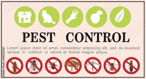 Pest control insects flat icons on the banner. Vector illustration.