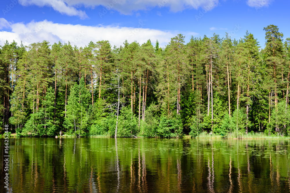Obraz premium Shchuchye lake, a scenic forest lake in the village of Komarovo, Leningradskaya oblast, Russia