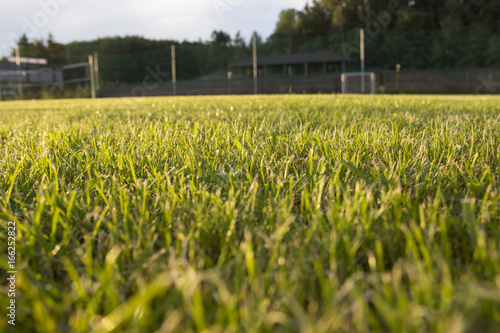 Soccer Field Goal Green Grass Outdoor Sunset.