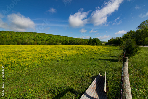 Φωτογραφία Ozark Springtime Natural Beauty1