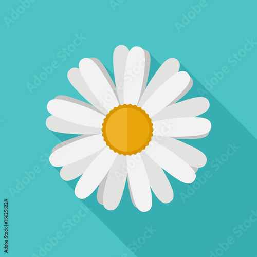 Daisy flower flat icon