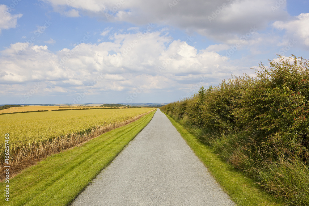 scenic farm track