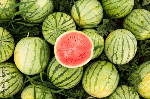 Half a red watermelon pitted against a background of ripe fruits on the field.