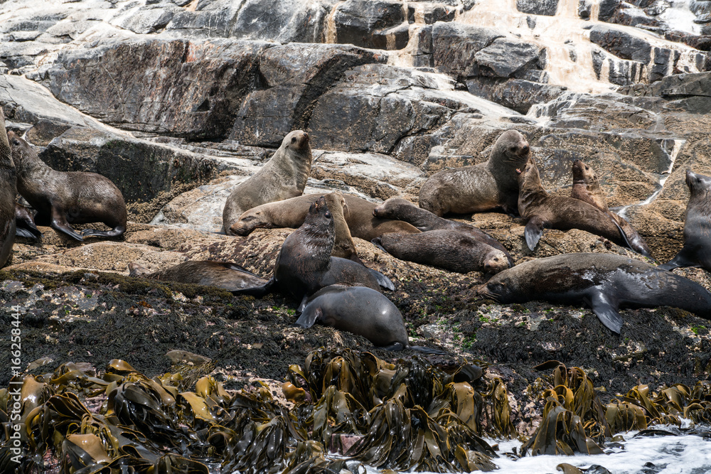 Seal(s) Seal(s)