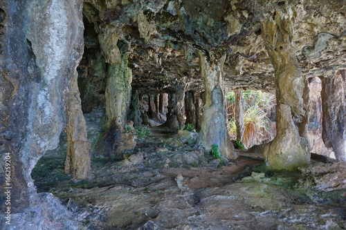 A limestone cavern with columns on Rurutu island, south Pacific, Australes archipelago, French Polynesia, Oceania