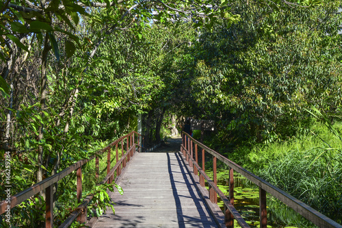 Coco Park in Fortaleza  Ceara State  Brazil