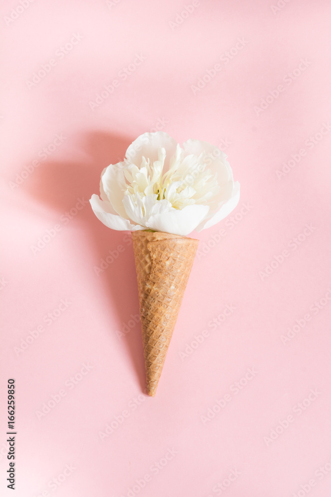 White peony flower in waffle cone on pink background. Vertical. Summer concept. White peony flower in waffle cone on pink background. Vertical. Summer concept.