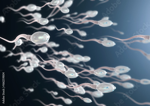 3d illustration of sperm cells moving to the right photo