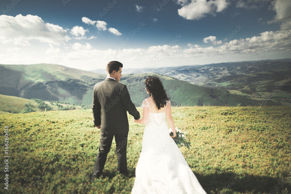 Young wedding couple in love holding hands on the background of mountains