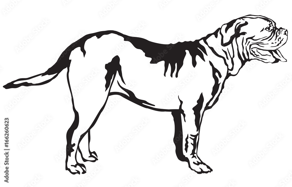 Obraz premium Decorative standing portrait of dog Dogue de Bordeaux vector illustration