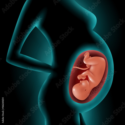 Silhouette Of Pregnant Woman With Fetus In Womb