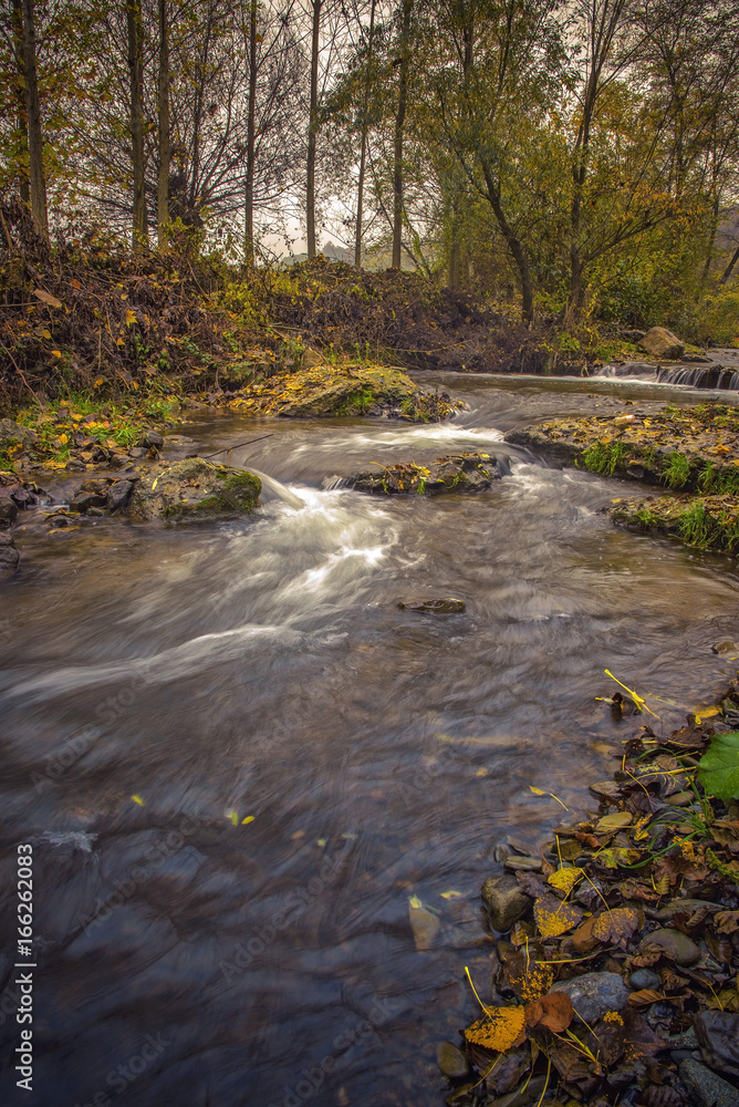 Beautiful water stream in a forest in Serbia, Central Europe Beautiful water stream in a forest in Serbia, Central Europe