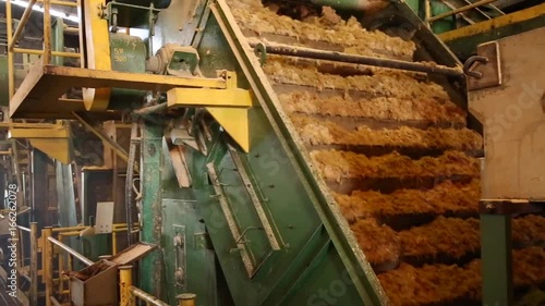 sugar cane line production industry