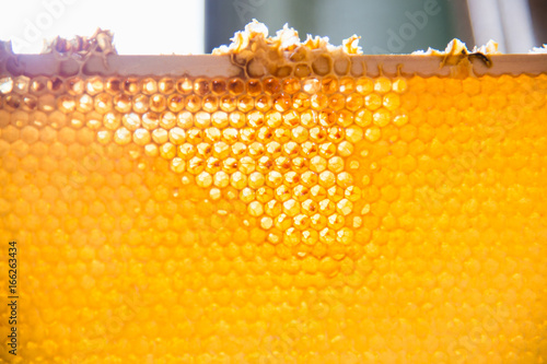 Unfinished fresh honey in honeycombs that are placed in a frame photo