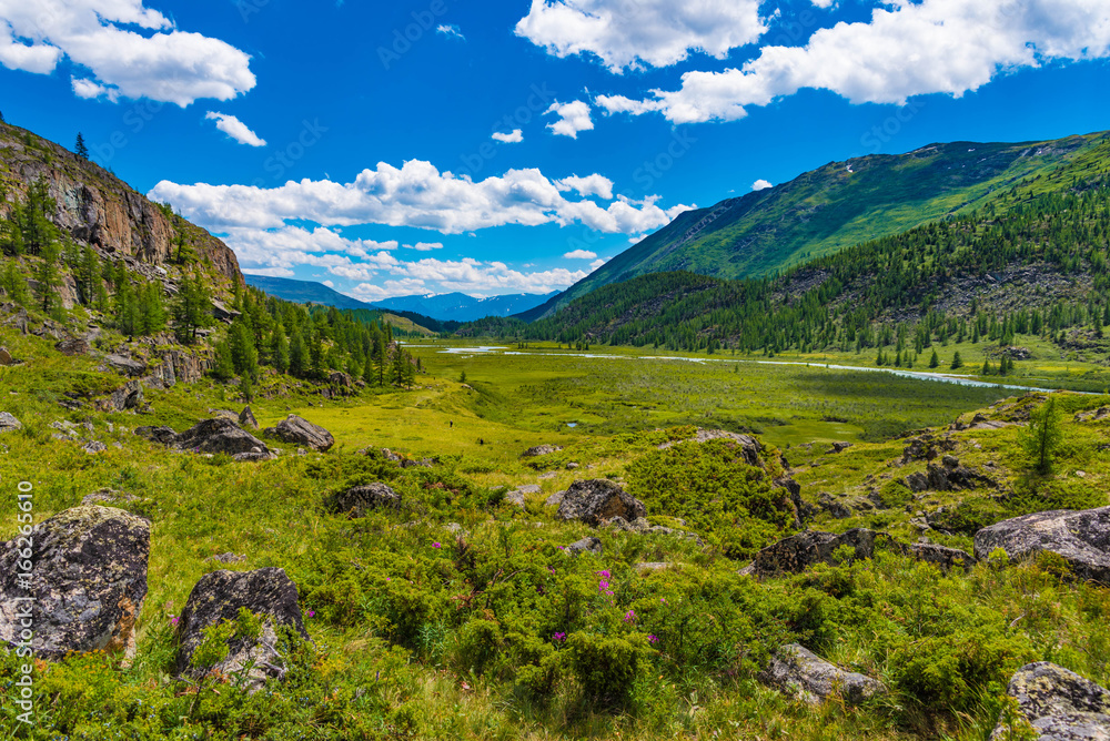 Hochmoor Altai Gebirge Mongolei